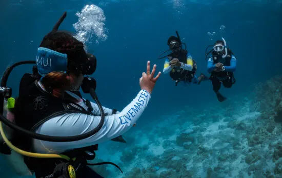 Pacchetto PADI Divemaster